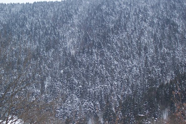 101_1278