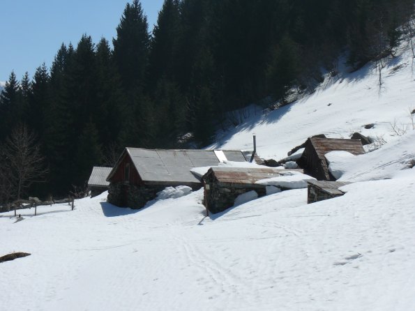 P1010303