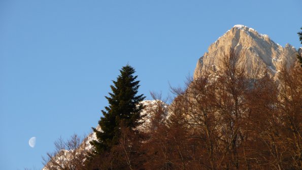 Peyrouse0001