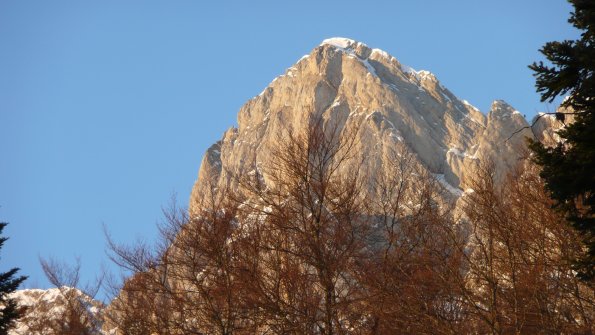 Peyrouse0003