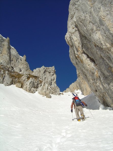 Peyrouse0060