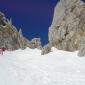 Peyrouse0370